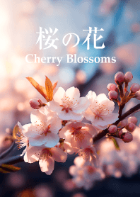 桜の花 vol.7