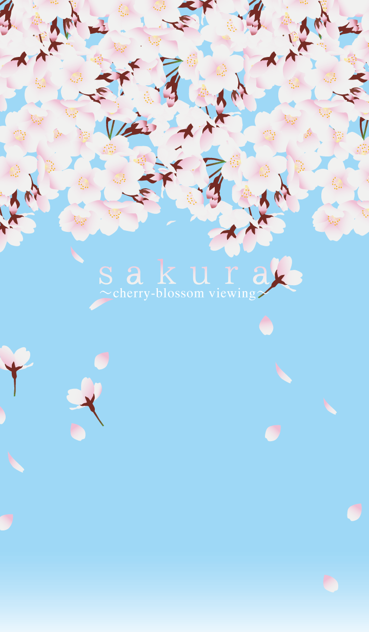 sakura(cherry blossom viewing)