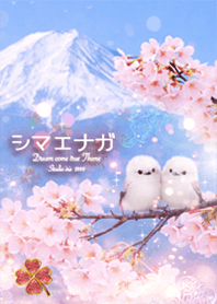 シマエナガと桜 富士山 運気UP✨