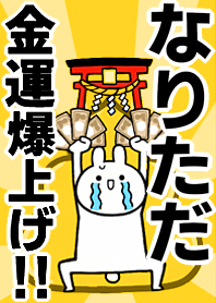 Fortune rise rabbiit[Naritada]