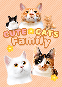 ##CUTE CATS Family かわいい猫の家族