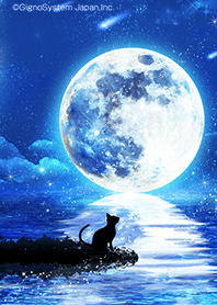 Fullmoon and cat