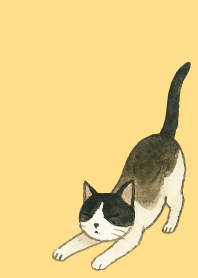 tuxedo cat04 on brown & yellow