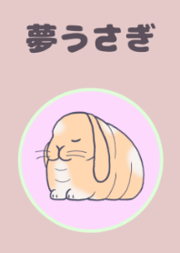夢うさぎ