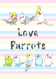 かわいいインコたち