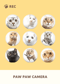 ネコカメラ - ベージュ 03