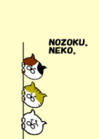 NOZOKU。NEKO。