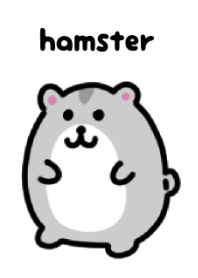 Cute gray hamster Theme