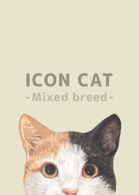 ICON CAT - ミックス - PASTEL YE/04