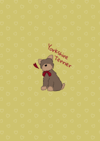 My bestie! Yorkshire Terrier