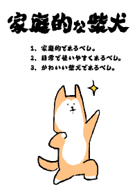 Shibainu at home