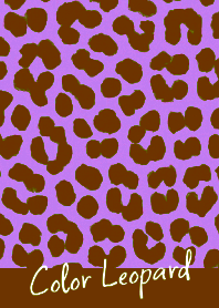 COLOR LEOPARD THEME -75