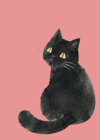 A unique cat01 light pink