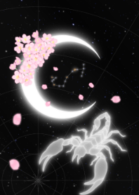 Crescent Moon -Scorpio-JPN