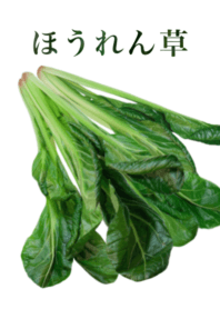 Domestic spinach 10