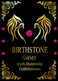 2021 年 1 月石榴石黑