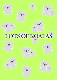 LOTS OF KOALAS/YELLOW GREEN