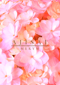 AJISAI -MEKYM- 2