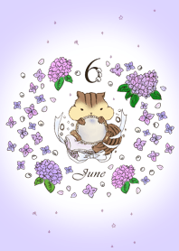 Birthday color theme "June"