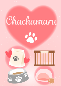Chachamaru-economic fortune-Dog&Cat1