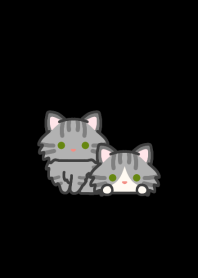 サバトラ猫＊ダークモード＊長毛