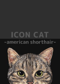 ICON CAT - American Shorthair - BLACK/02