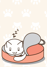 Cute White Cat
