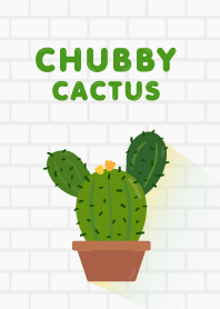 Chubby Cactus