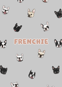 frenchie5 / grey