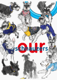 OurSchnauzer-Agility-I