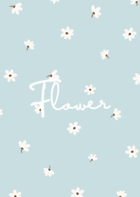 petite flower w - light blue