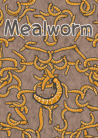 밀웜은 좋아합니까? [애벌레]