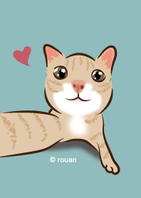 かわいいねこ_茶トラ猫