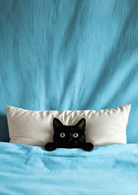 Fun playful cat  blanket-Black Cat1H