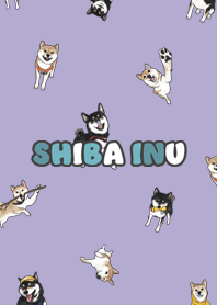 shibainu3 - violet