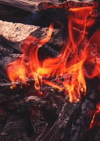 Bonfire Photo #8-20 Not AI