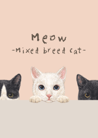 Meow - Mixed breed cat 02 - SHELL PINK