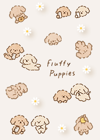 brown Fluffy Puppies 02_2