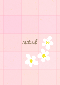 Check 3 white flowers7 from Japan