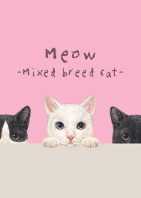 Meow - Mixed breed cat 02 - SWEET PINK