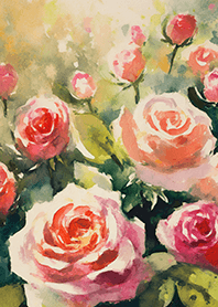 Beautiful rose flower(R4878)