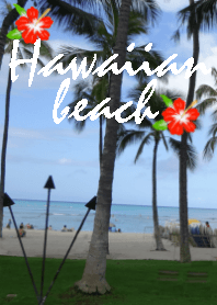 Hawaiian beach