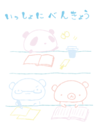 くまたち 一緒に勉強 爽やか