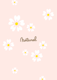 5 white petals12 from Japan