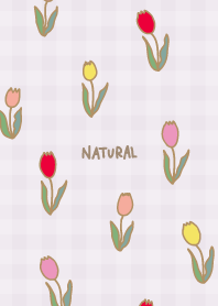 チューリップ　たくさん23