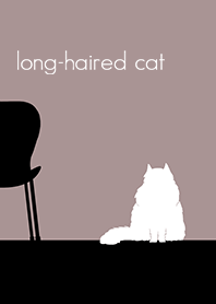 long-haired cat