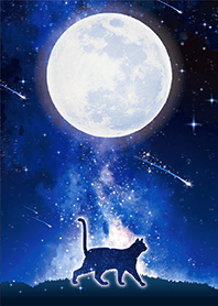 Full moon and Cat 7