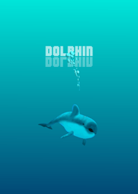 Dolphin vo1