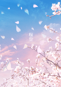 - SAKURA SKY -