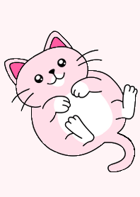 An adorable, affectionate pink cat.